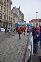 Wikov přepisuje dějiny Plzeňského půlmaratonu!